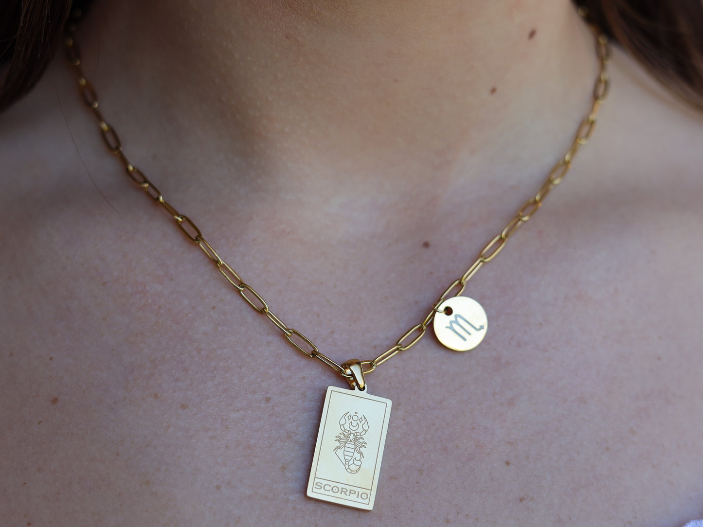 18K Gold Filled Paperclip Chain Zodiac Sign Pendant Necklace