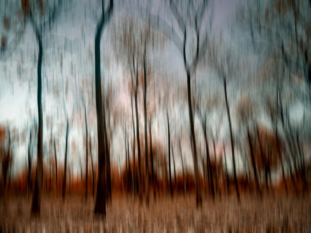 abstract woodsy floral