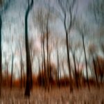 abstract woodsy floral