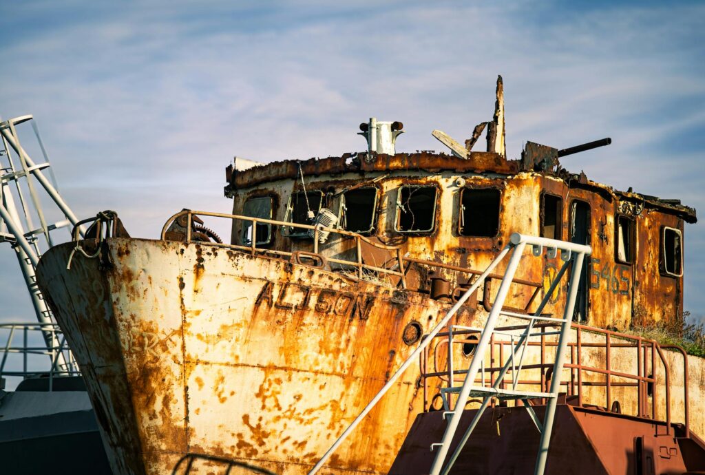 Alison Hammond Shaun Ryder