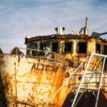 Alison Hammond Shaun Ryder