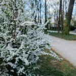 Beata Thunberg portrait