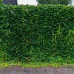 Beyoncé Daughter Courtside Style: A Masterclass