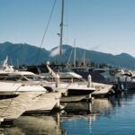 Nancy Harbour profile