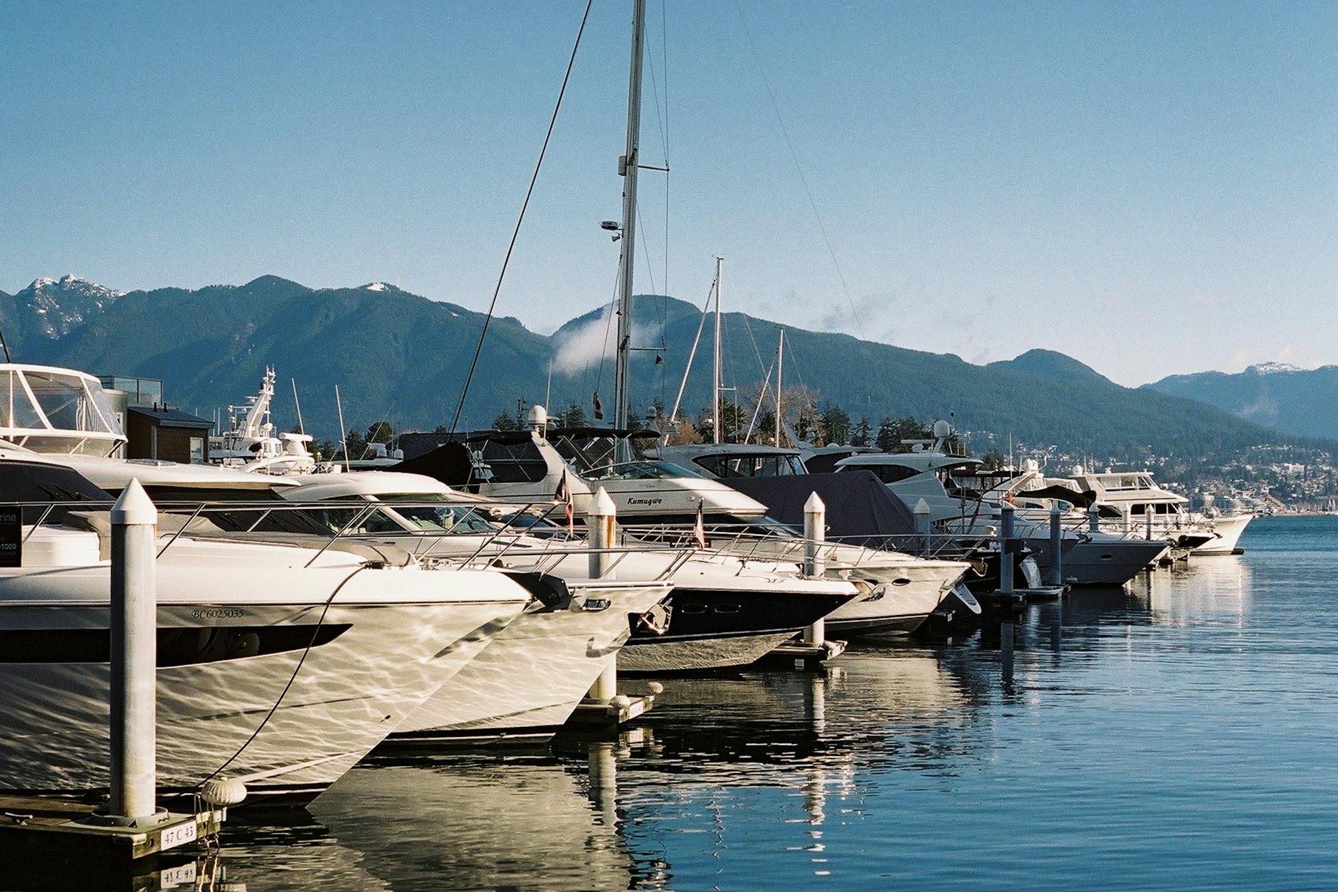 Nancy Harbour profile