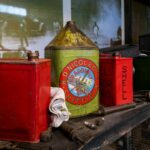 Nicole Curran portrait