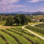 North Carolina landscape