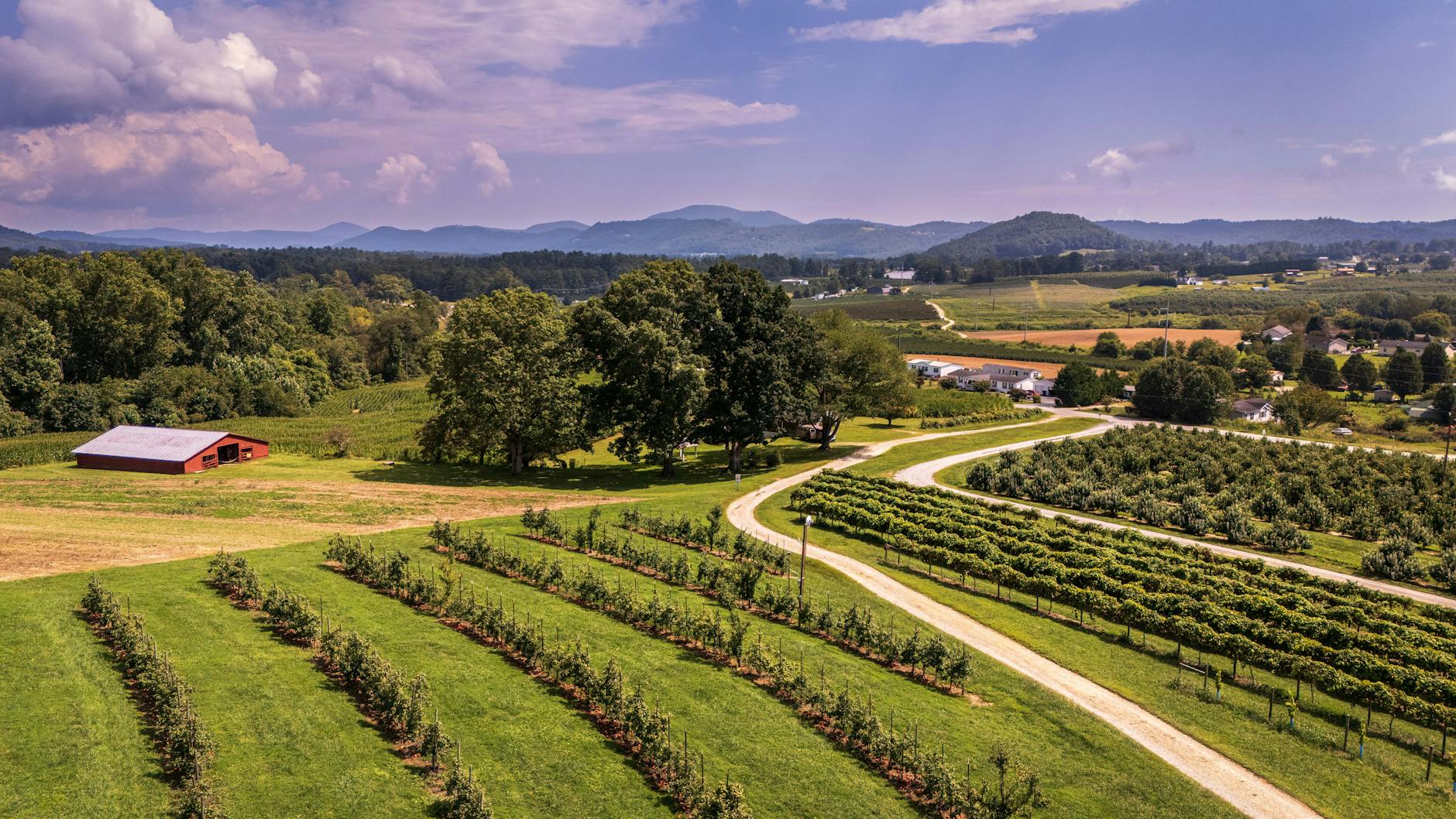 North Carolina landscape