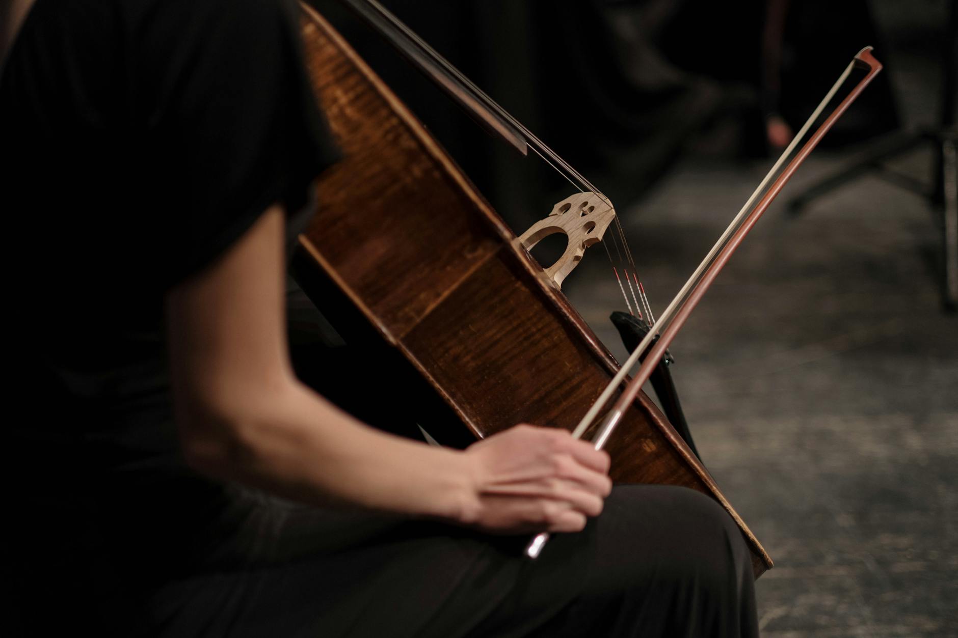 orchestra double bass section