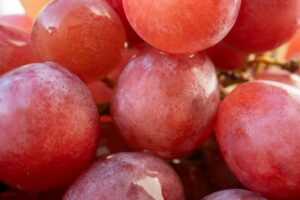 plump ripe tomato on vine