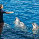 Might and Mastery in Pokémon GO 2026: Advanced Trainer’s Guide