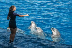 Might and Mastery in Pokémon GO 2026: Advanced Trainer’s Guide