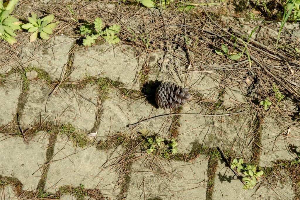 tarkov ground zero map layout