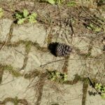 Tarkov Ground Zero Map: Your First Steps