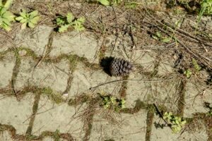 Tarkov Ground Zero Map: Your First Steps