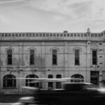 Tisha Taylor portrait