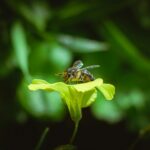 Yvonne Bailey Smith: Unpacking Her Impact