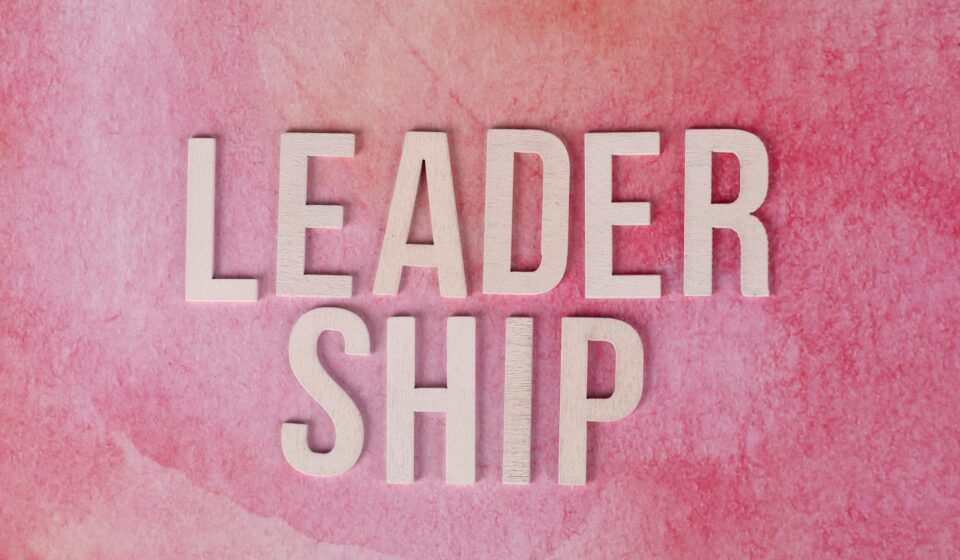 leadership development icons